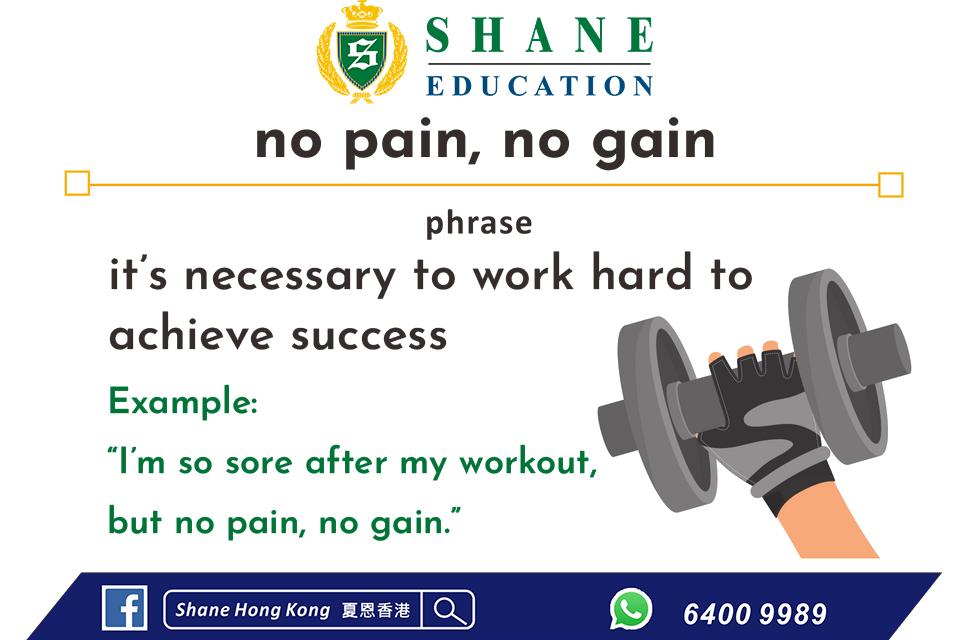 No Pain No Gain Shane HK